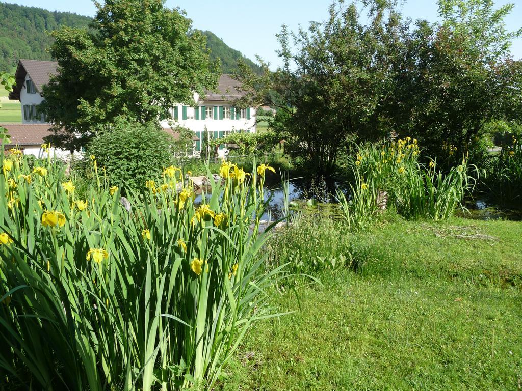 Gastehaus Zum Tulpenbaum Bed & Breakfast Turbenthal Екстериор снимка